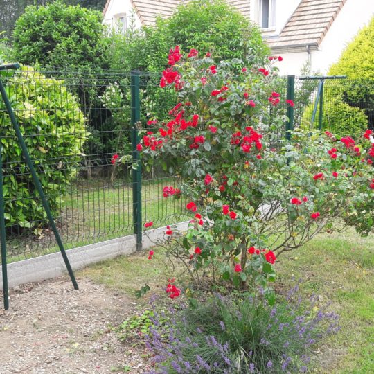 http://www.articris.fr/wp-content/uploads/2018/07/1-540x540.jpg