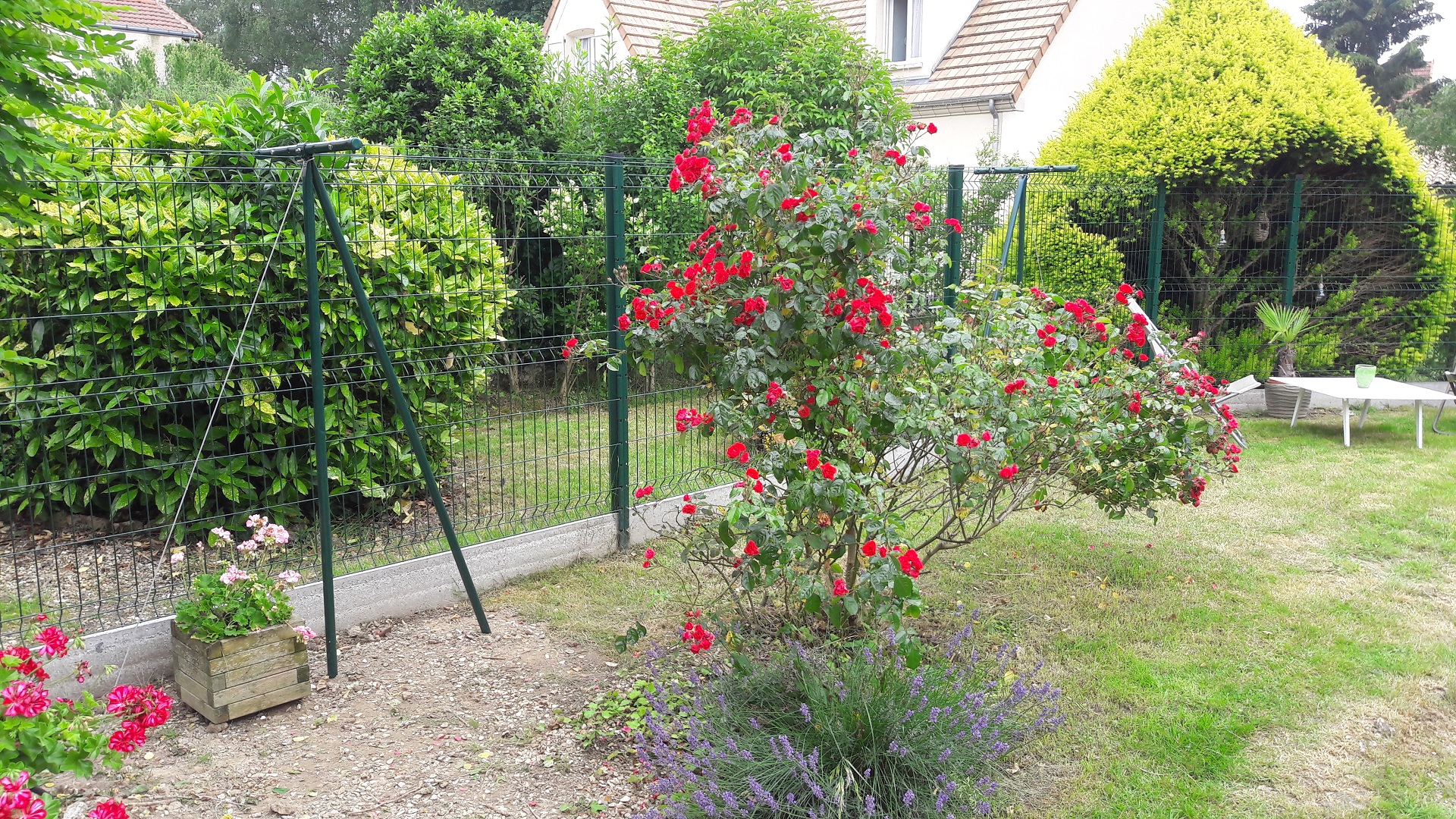 http://www.articris.fr/wp-content/uploads/2018/07/1.jpg